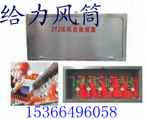 ZYJѹ���Ծ�װ��