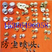 ������ͷ