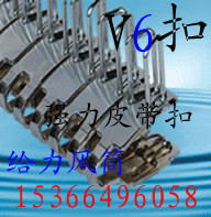 ǿ��Ƥ���� V6��