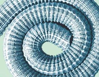 ��ʽ͸ˮ�� ͸ˮ��