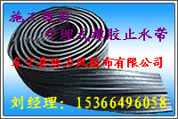 ʩ����������ʽ��ֹˮ�� ֹˮ��